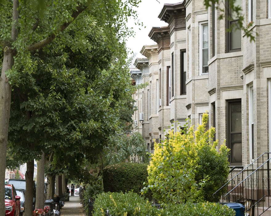 Neighborhood